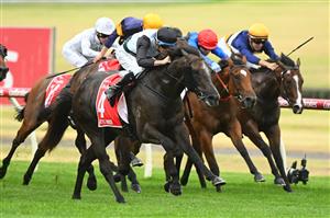 MELBOURNE, AUSTRALIA - FEBRUARY 25: Michael Dee riding Little Brose defeats Mark Zahra riding Don Corleone in Race 7, the Ladbrokes Blue Diamond Stakes,  during Melbourne Racing at Sandown Lakeside on February 25, 2023 in Melbourne, Australia. (Photo by Vince Caligiuri/Getty Images)