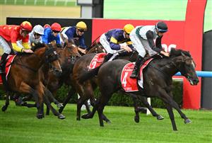 MELBOURNE, AUSTRALIA - FEBRUARY 25: Michael Dee riding Little Brose defeats Mark Zahra riding Don Corleone in Race 7, the Ladbrokes Blue Diamond Stakes,  during Melbourne Racing at Sandown Lakeside on February 25, 2023 in Melbourne, Australia. (Photo by Vince Caligiuri/Getty Images)