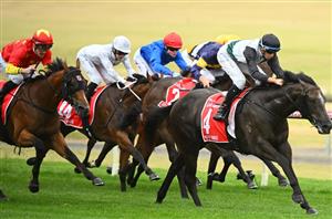 Sandown Highlights - February 25