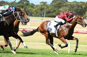 Australian Guineas Field