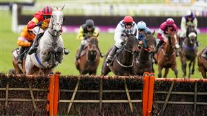 Albert Bartlett 2023 Tips - Two 20/1 outsiders to back on Gold Cup day