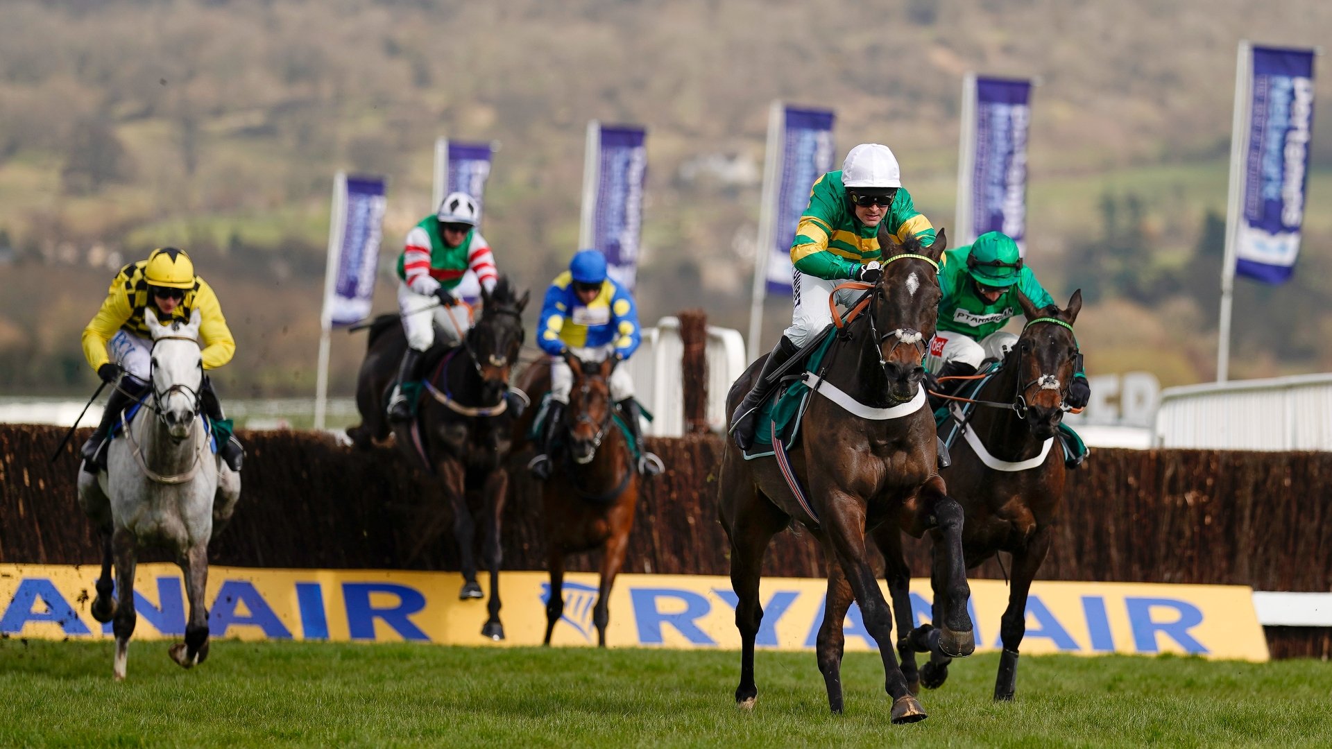 Turners' Novices' Chase 2023 Tips - Irish challenger worth backing each-way
