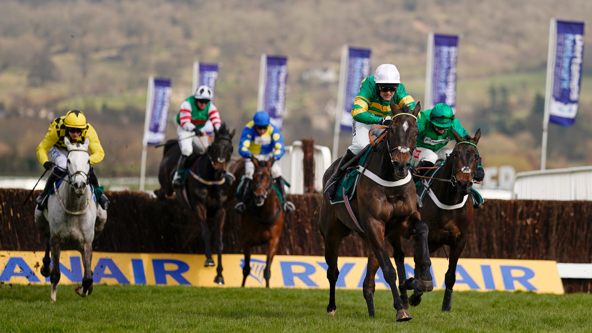 Turners' Novices' Chase Tips Odds Runners