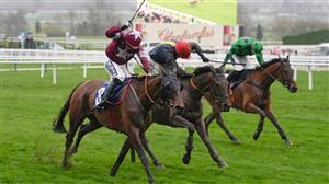 Cheltenham 2023 Handicap Weights - Assessing The Irish Entrants
