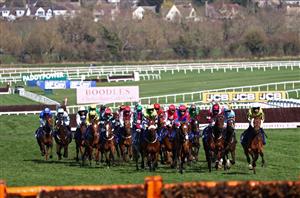 County Hurdle Live Stream - Watch the Cheltenham race online