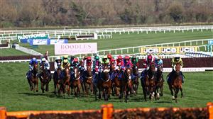 2023 County Hurdle Odds and Entries - Filey Bay leads Hunters Yarn in the betting