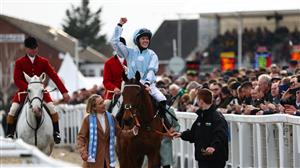 Mares' Hurdle 2023 Tips - Will Honeysuckle bow out with a bang?