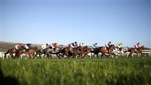 Champion Bumper 2023 Tips - Mullins and Elliott to dominate the Bumper again?