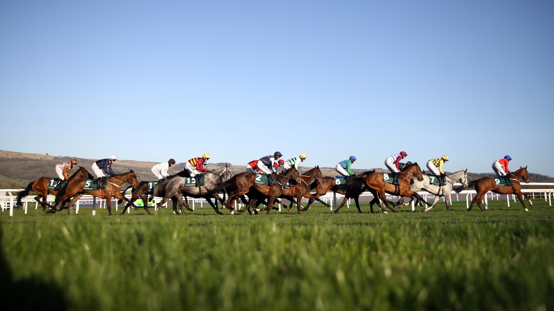 Champion Bumper 2023 Tips - Mullins and Elliott to dominate the Bumper again?