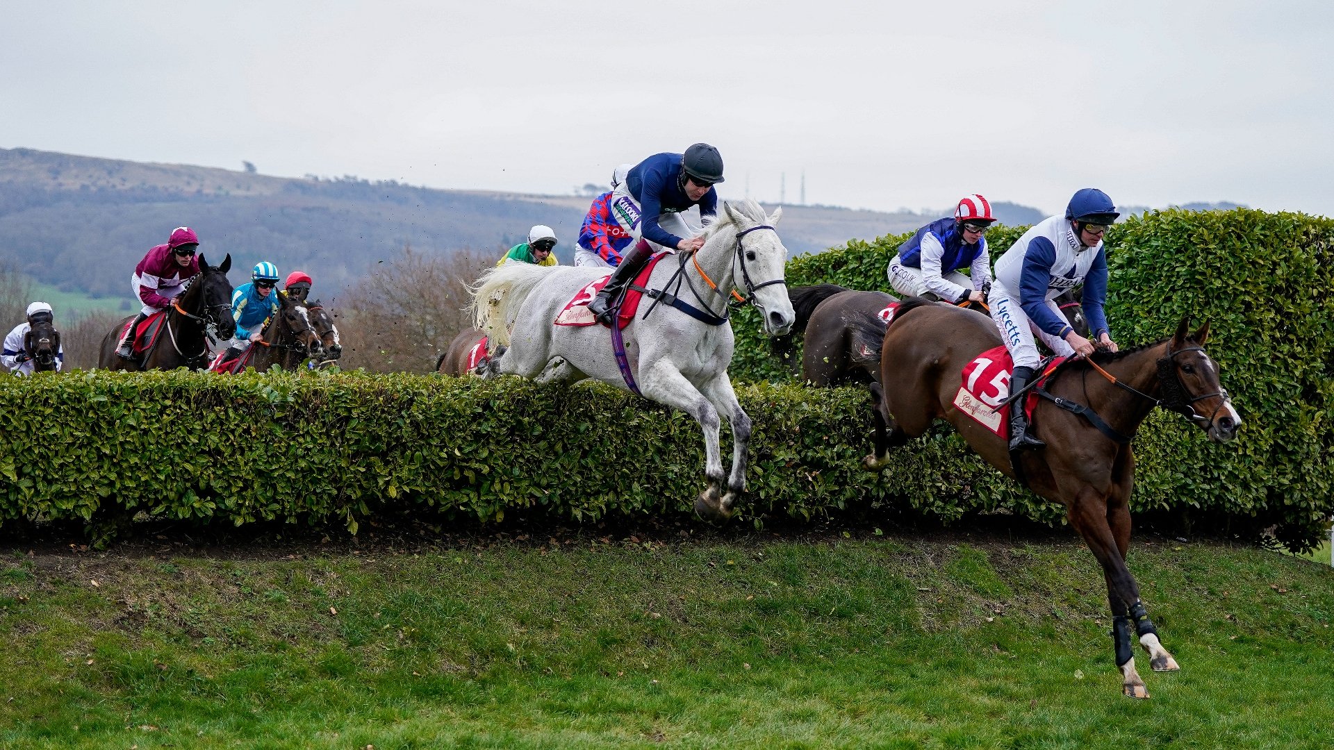 Cross Country Chase 2023 Tips - 40/1 outsider could hit the frame again