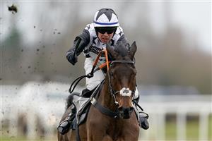 NEWBURY, ENGLAND - MARCH 04: Paul O'Brien riding Dargiannini clear the last to win The BetVictor Non-Runner-No-Bet At Cheltenham Seniors' Handicap Hurdle at Newbury Racecourse on March 04, 2023 in Newbury, England. (Photo by Alan Crowhurst/Getty Images)