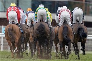 NEWBURY, ENGLAND - MARCH 04: Runner make their way to the back straight during The BetVictor Non-Runner-No-Bet At Cheltenham Seniors' Handicap Hurdle at Newbury Racecourse on March 04, 2023 in Newbury, England. (Photo by Alan Crowhurst/Getty Images)