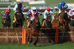 Mares' Novices' Hurdle 2023 Tips - Two each-way selections on St Patrick's day
