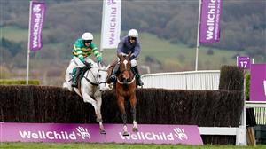 Mares' Chase 2023 Tips - Mullins' mare can stamp her class on this Grade Two