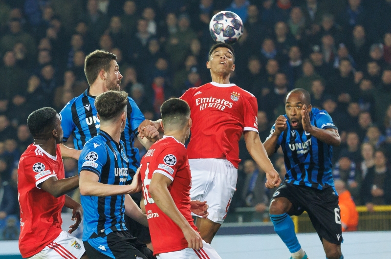 Benfica vs Club Brugge Predictions Preview, Tips & Live Stream