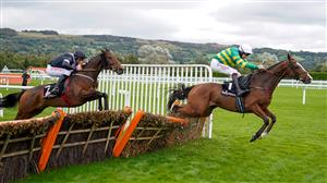 Coral Cup 2023 Tips - Odds, trends and final selections