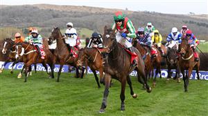 Ultima 2023 Tips - Odds, trends and selections for Cheltenham