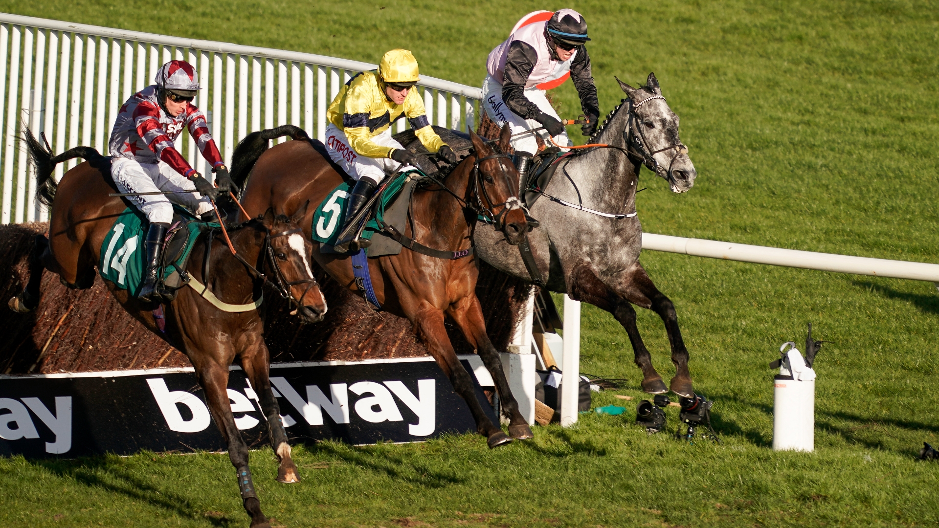 Grand Annual 2023 Tips - Odds, trends and final selections