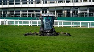 Good-to-soft going expected for Cheltenham