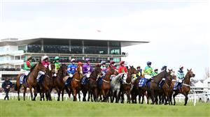 Pertemps Final 2023 Tips - Odds, trends and tips on St Patrick's Day