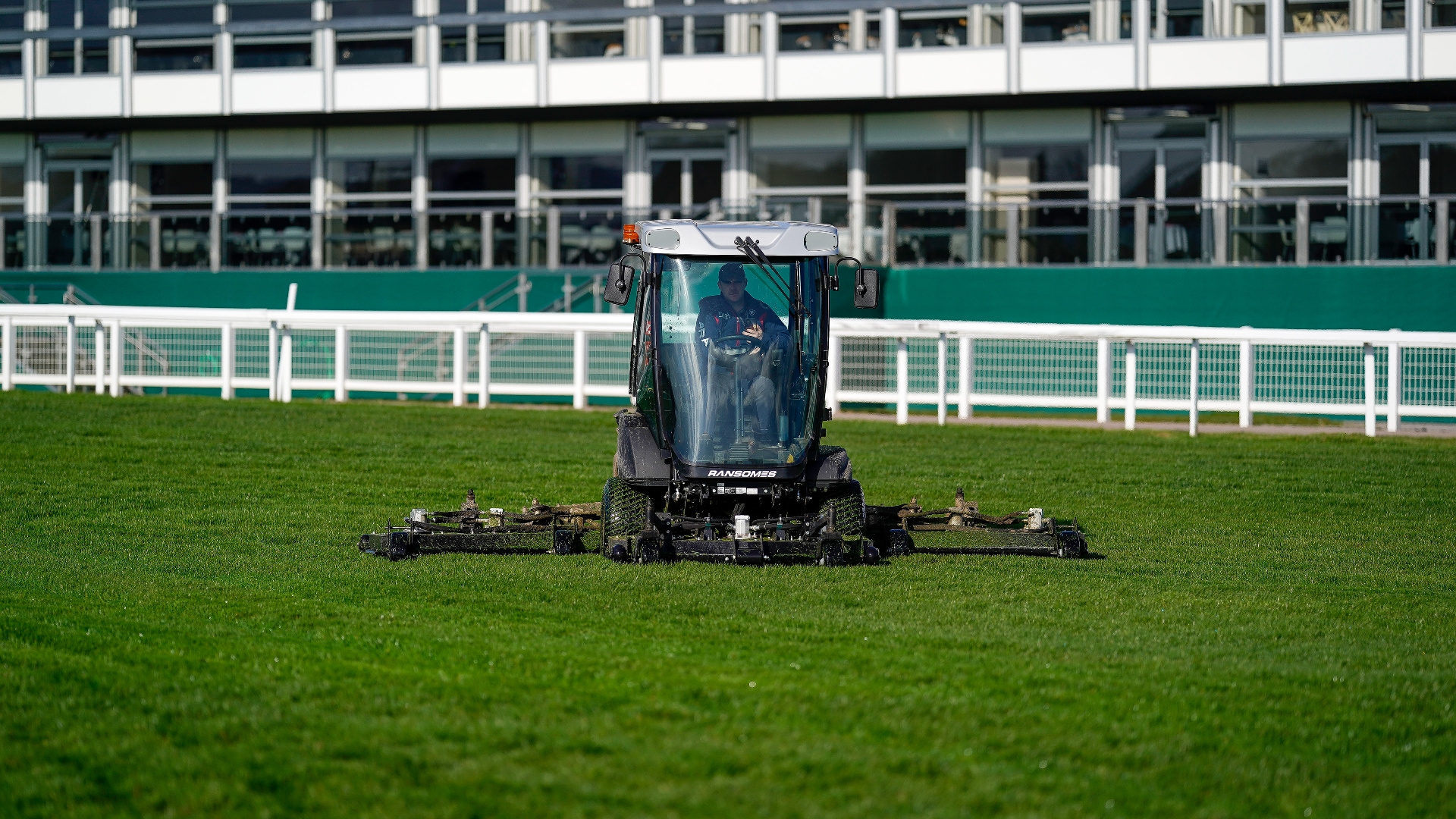 Good-to-soft going expected for Cheltenham