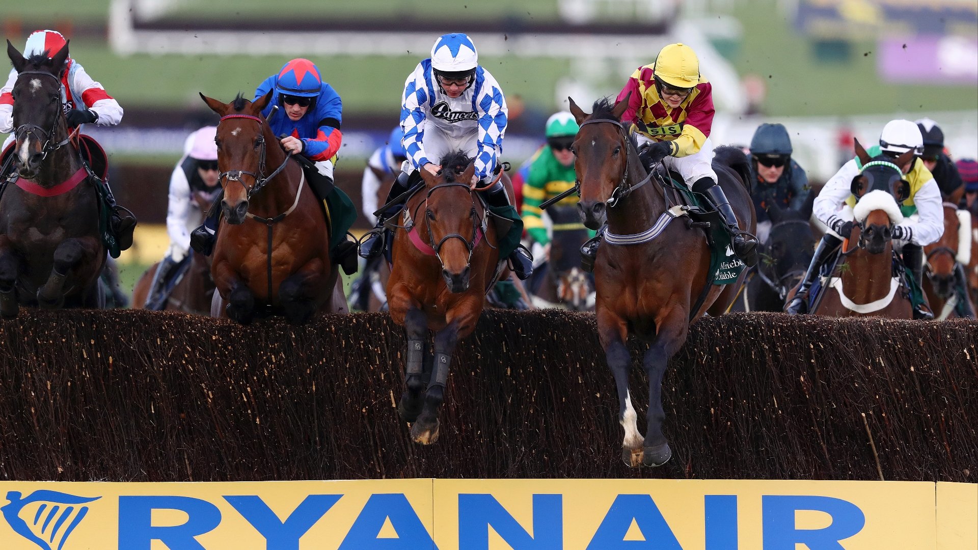 Plate Handicap Chase 2023 Tips - Odds, trends and final tips