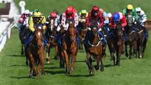 County Hurdle Tips Odds Trends