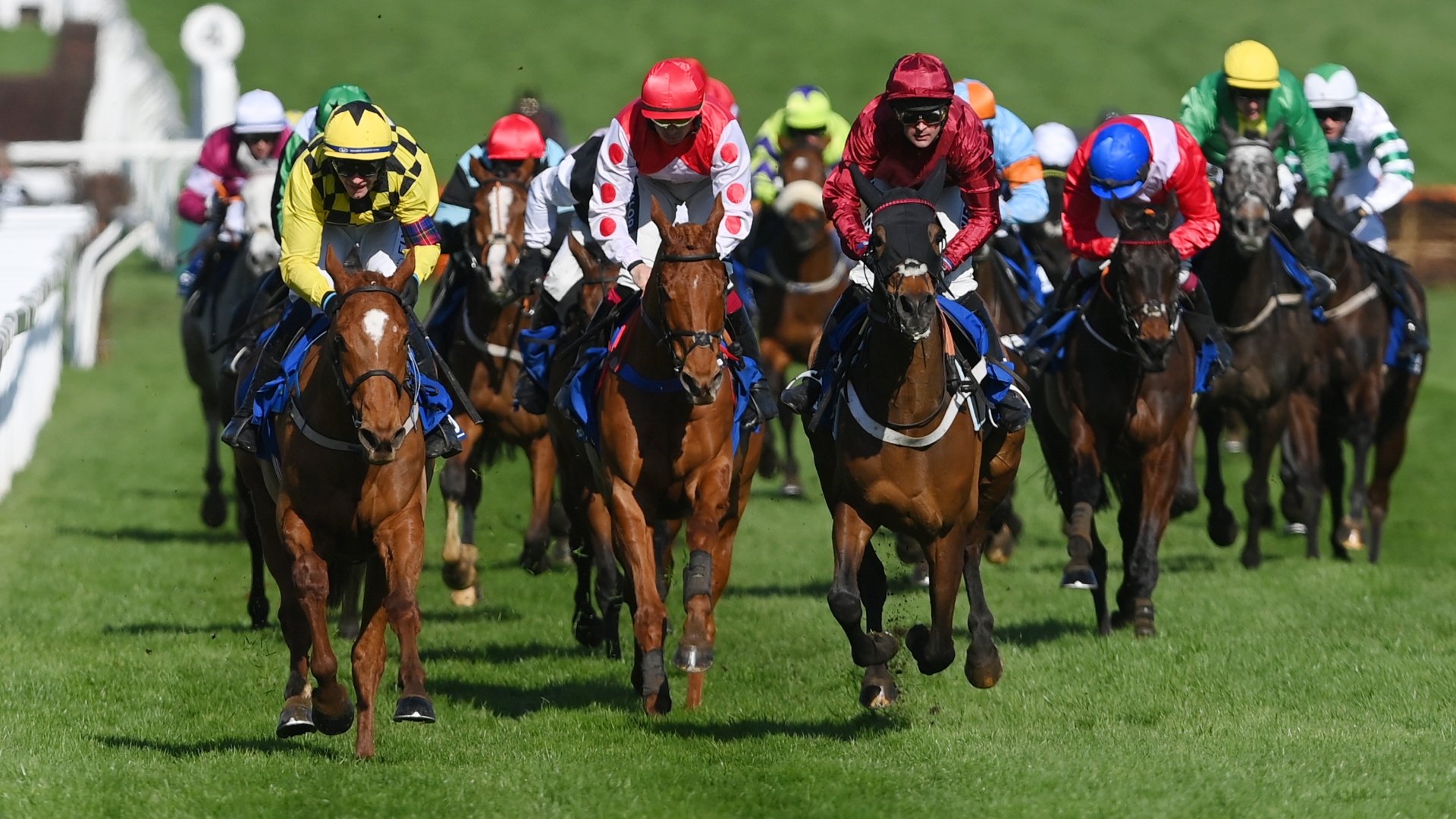 County Hurdle Tips Odds and Trends