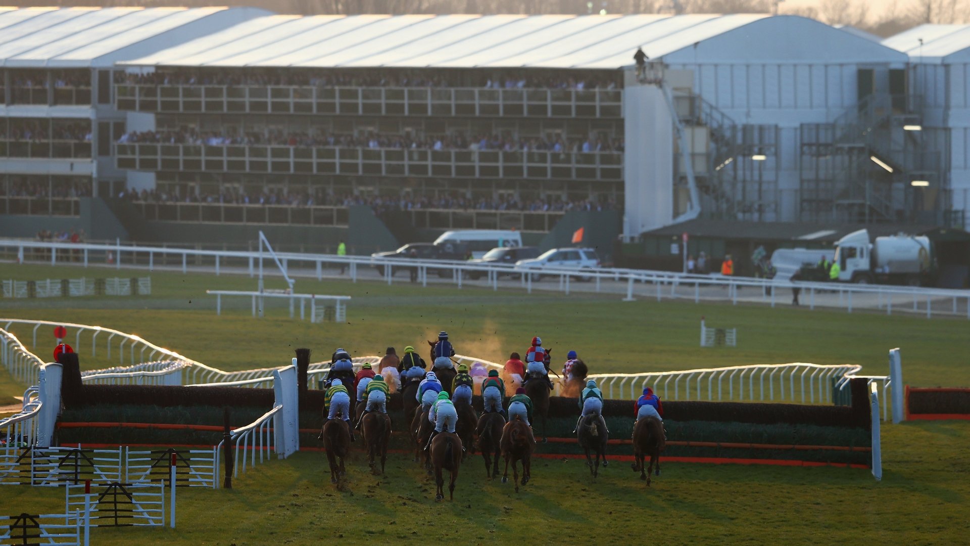 Kim Muir Tips Odds Trends