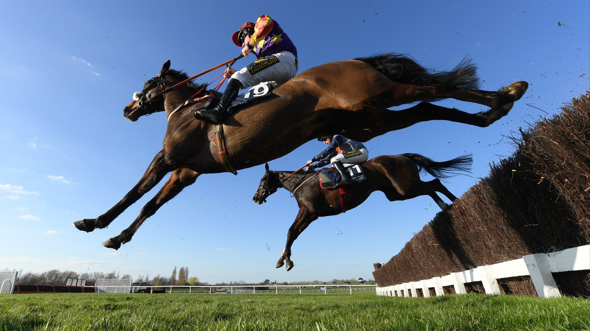 Hunters' Chase 2023 Tips - Two selections in the amateurs Gold Cup