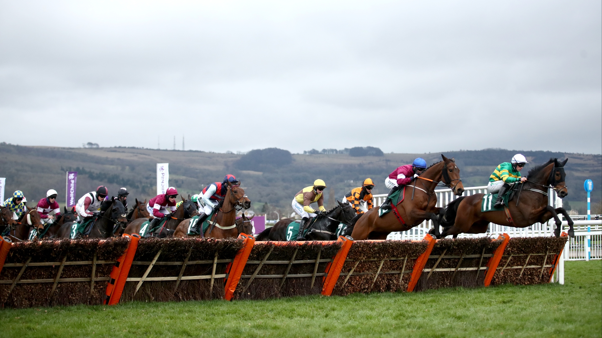 Martin Pipe 2023 Tips - Odds, trends and tips for the final race of the Festival