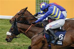 ESHER, ENGLAND - MARCH 11: Harry Cobden riding Larchmont Lass (blue/yellow) win The British Stallion Studs EBF Mares' Standard Open NH Flat Race at Sandown Park on March 11, 2023 in Esher, England. (Photo by Alan Crowhurst/Getty Images)