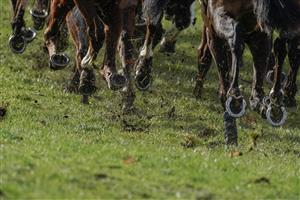 ESHER, ENGLAND - MARCH 11: Hooves and mud at Sandown Park on March 11, 2023 in Esher, England. (Photo by Alan Crowhurst/Getty Images)