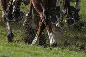 ESHER, ENGLAND - MARCH 11: Hooves and mud at Sandown Park on March 11, 2023 in Esher, England. (Photo by Alan Crowhurst/Getty Images)