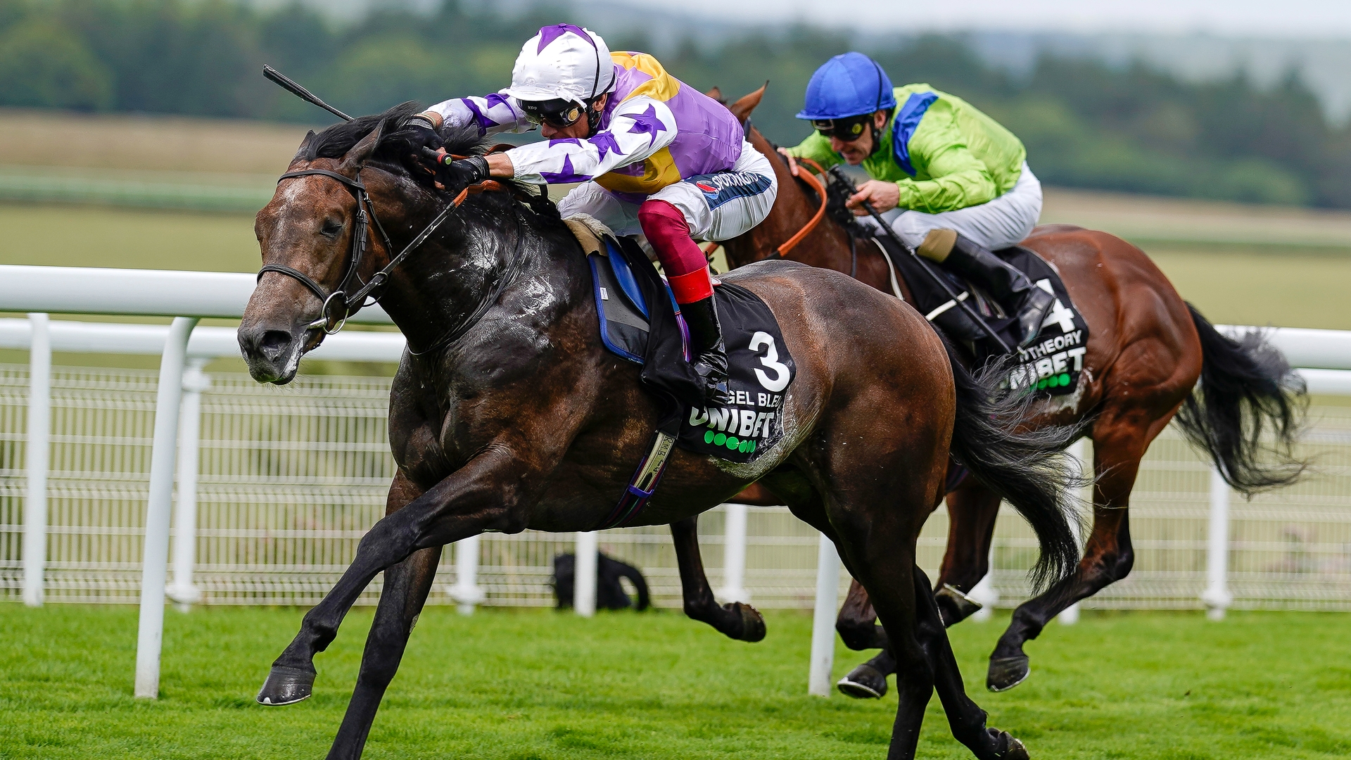 Newspaper Racing Tips March 11th Sandown Wolverhampton