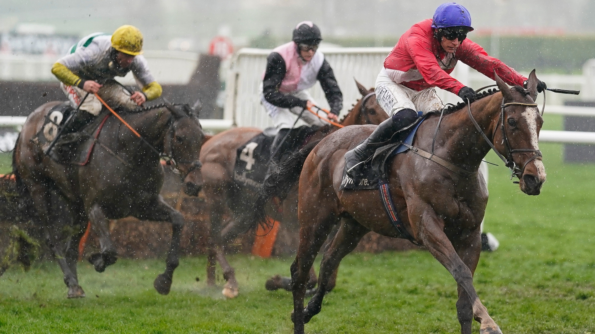 Ballymore 2023 Tips - Favourite to Passe Cheltenham test