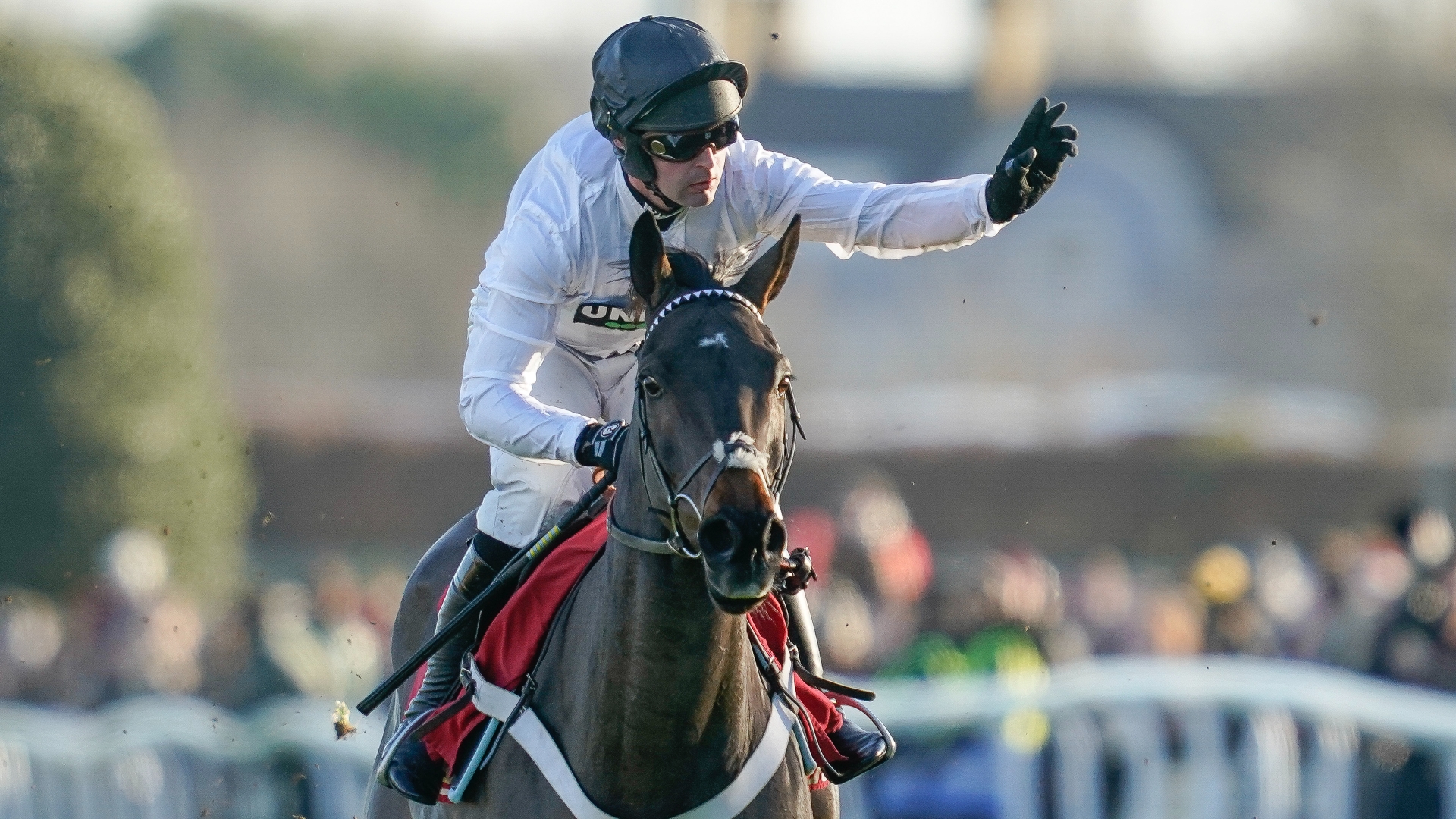 Cheltenham 2023 Day 1 Final Fields and Entries