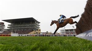Cheltenham Day 2 Tips - Every race covered on Champion Chase day