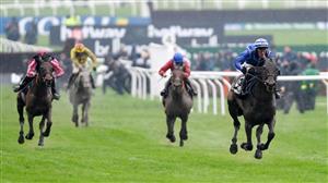 Cheltenham Day 2 Entries and Final Fields