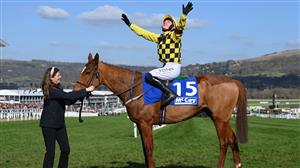 Paul Townend Blog - Thoughts on Cheltenham day one rides