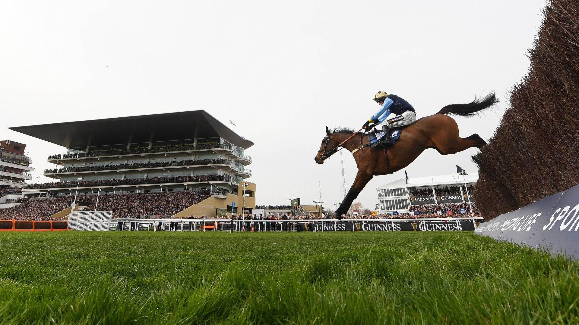 Cheltenham Day 2 Tips Cheltenham Festival Tips March 15th