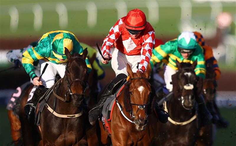 CHELTENHAM, ENGLAND - MARCH 14: Michael O'Sullivan on board Jazzy Matty on their way to winning the Boodles Juvenile Handicap Hurdle during day one of the Cheltenham Festival 2023 at Cheltenham Racecourse on March 14, 2023 in Cheltenham, England. (Photo by Michael Steele/Getty Images)