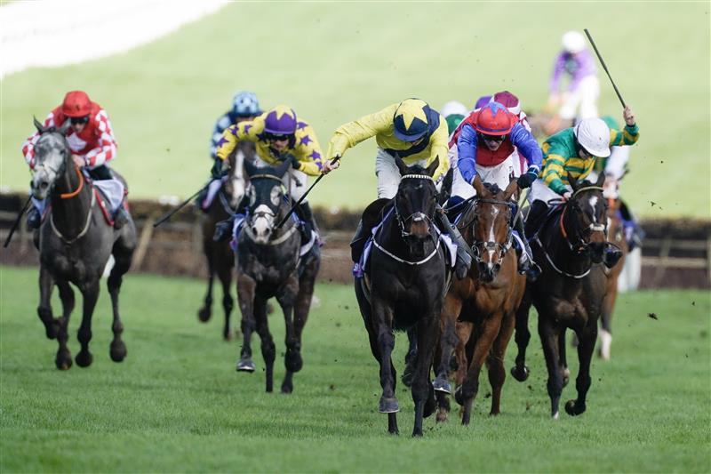 CHELTENHAM, ENGLAND - MARCH 14: Michael O'Sullivan riding Marine Nationale (yellow) clear the last to win The Sky Bet Supreme Novices' Hurdle during day one of the Cheltenham Festival 2023 at Cheltenham Racecourse on March 14, 2023 in Cheltenham, England. (Photo by Alan Crowhurst/Getty Images)