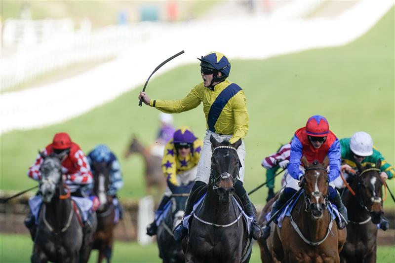 CHELTENHAM, ENGLAND - MARCH 14: Michael O'Sullivan riding Marine Nationale (yellow) clear the last to win The Sky Bet Supreme Novices' Hurdle during day one of the Cheltenham Festival 2023 at Cheltenham Racecourse on March 14, 2023 in Cheltenham, England. (Photo by Alan Crowhurst/Getty Images)