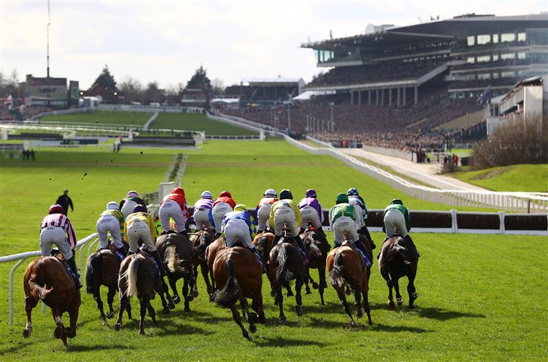 CHELTENHAM, ENGLAND - MARCH 14: Runners make their way around the course during the Sky Bet Supreme Novices Hurdle during day one of the Cheltenham Festival 2023 at Cheltenham Racecourse on March 14, 2023 in Cheltenham, England. (Photo by Michael Steele/Getty Images)