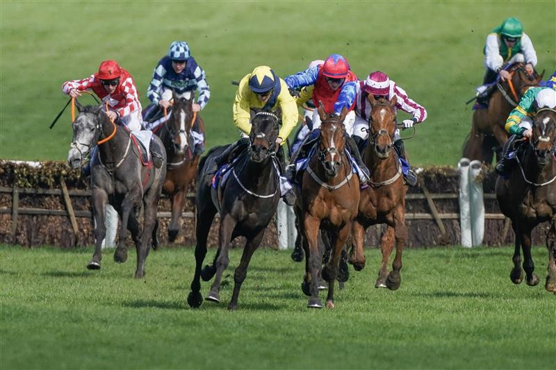 CHELTENHAM, ENGLAND - MARCH 14: Michael O'Sullivan riding Marine Nationale (yellow) clear the last to win The Sky Bet Supreme Novices' Hurdle during day one of the Cheltenham Festival 2023 at Cheltenham Racecourse on March 14, 2023 in Cheltenham, England. (Photo by Alan Crowhurst/Getty Images)