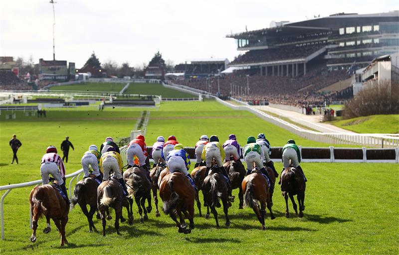 CHELTENHAM, ENGLAND - MARCH 14: Runners make their way around the course during the Sky Bet Supreme Novices Hurdle during day one of the Cheltenham Festival 2023 at Cheltenham Racecourse on March 14, 2023 in Cheltenham, England. (Photo by Michael Steele/Getty Images)