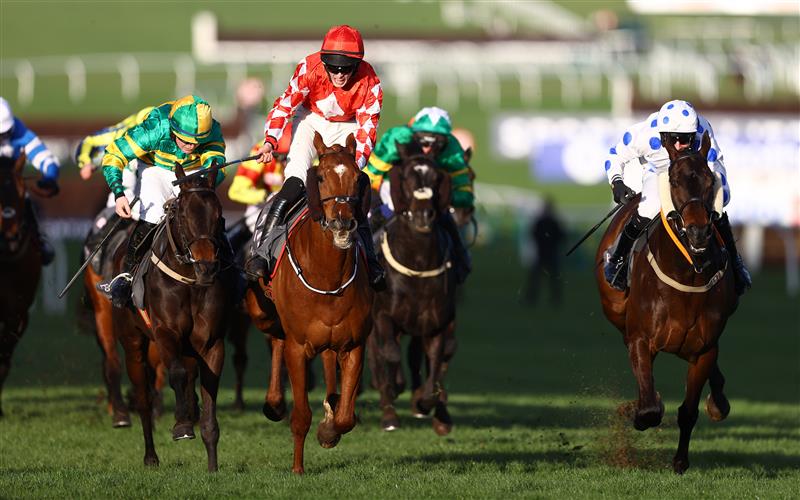 CHELTENHAM, ENGLAND - MARCH 14: Michael O'Sullivan celebrates on board Jazzy Matty after winning the Boodles Juvenile Handicap Hurdle during day one of the Cheltenham Festival 2023 at Cheltenham Racecourse on March 14, 2023 in Cheltenham, England. (Photo by Michael Steele/Getty Images)
