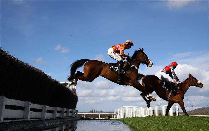 CHELTENHAM, ENGLAND - MARCH 14: Runners take the water jump during the Ultima Handicap Chase during day one of the Cheltenham Festival 2023 at Cheltenham Racecourse on March 14, 2023 in Cheltenham, England. (Photo by Michael Steele/Getty Images)