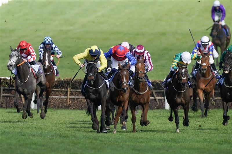 CHELTENHAM, ENGLAND - MARCH 14: Michael O'Sullivan riding Marine Nationale (yellow) clear the last to win The Sky Bet Supreme Novices' Hurdle during day one of the Cheltenham Festival 2023 at Cheltenham Racecourse on March 14, 2023 in Cheltenham, England. (Photo by Alan Crowhurst/Getty Images)